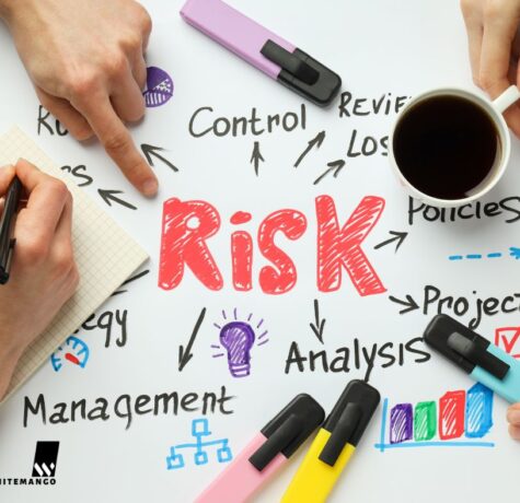 risk management